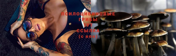 mdpv Вязники