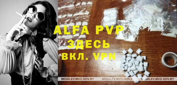 прущий лед Вяземский