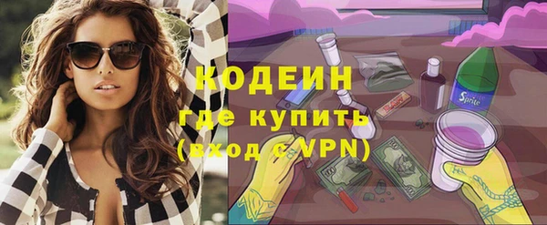 прущий лед Вяземский