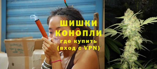 прущий лед Вяземский
