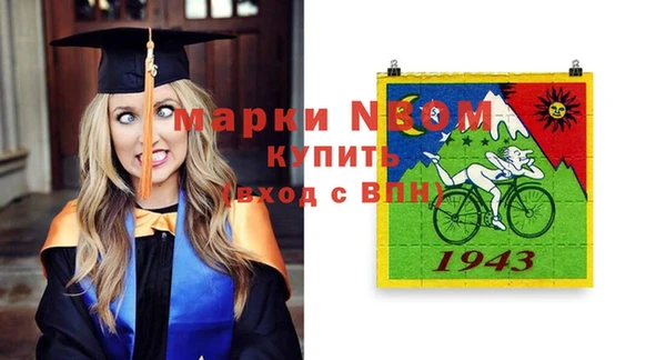 прущий лед Вяземский