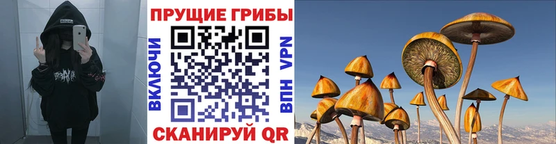 Галлюциногенные грибы Psilocybe  hydra онион  Назарово 